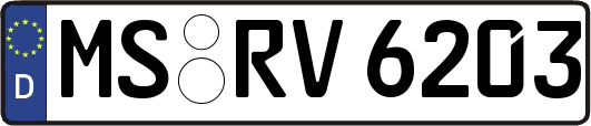 MS-RV6203