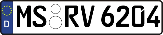 MS-RV6204