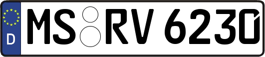 MS-RV6230