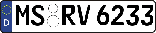 MS-RV6233
