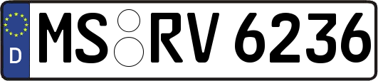 MS-RV6236