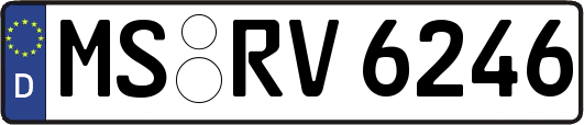 MS-RV6246