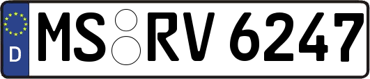 MS-RV6247