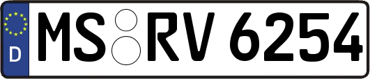 MS-RV6254
