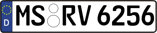 MS-RV6256