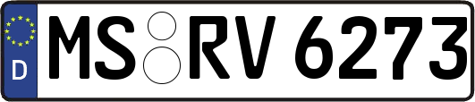 MS-RV6273
