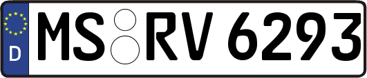 MS-RV6293