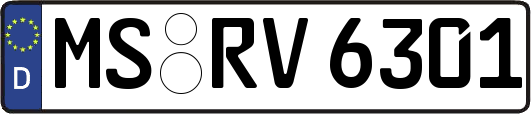 MS-RV6301