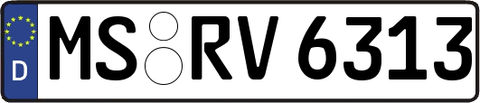 MS-RV6313