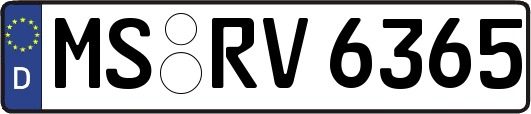 MS-RV6365