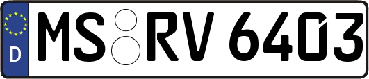 MS-RV6403