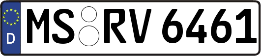 MS-RV6461