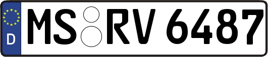 MS-RV6487