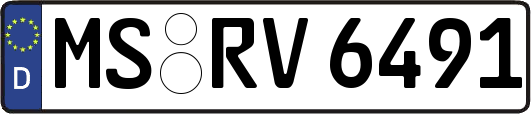 MS-RV6491
