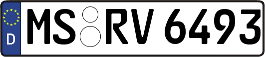MS-RV6493