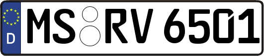 MS-RV6501