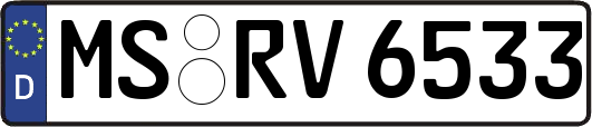 MS-RV6533