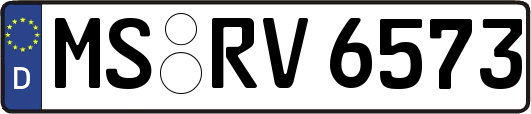 MS-RV6573