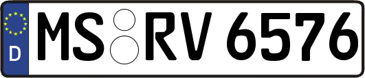 MS-RV6576