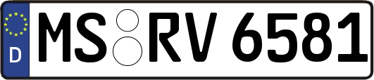 MS-RV6581