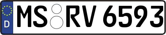 MS-RV6593