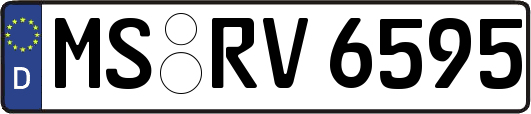 MS-RV6595