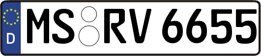 MS-RV6655