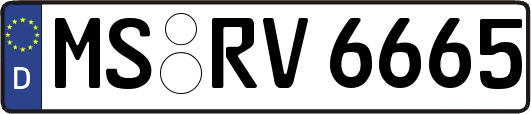 MS-RV6665