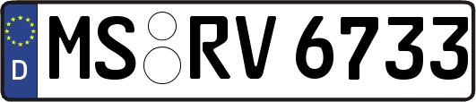 MS-RV6733