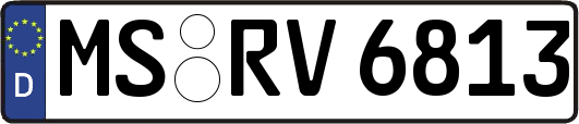 MS-RV6813