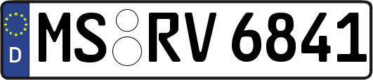 MS-RV6841