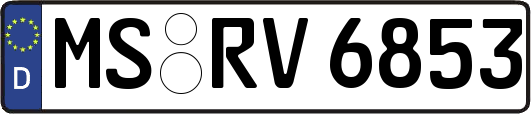 MS-RV6853