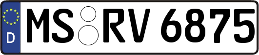 MS-RV6875