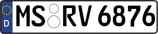 MS-RV6876