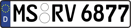 MS-RV6877