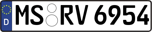 MS-RV6954