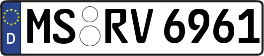 MS-RV6961