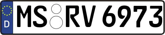 MS-RV6973