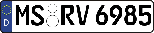 MS-RV6985