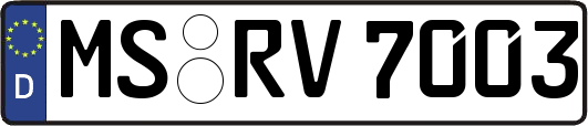 MS-RV7003