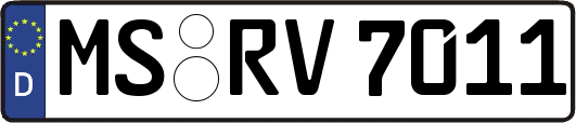 MS-RV7011
