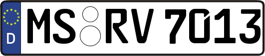 MS-RV7013