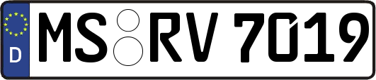 MS-RV7019