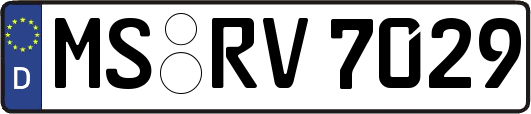 MS-RV7029