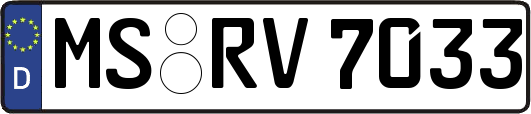 MS-RV7033