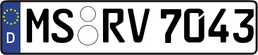 MS-RV7043