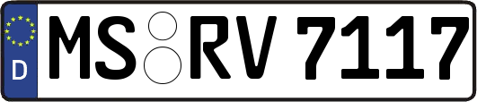 MS-RV7117