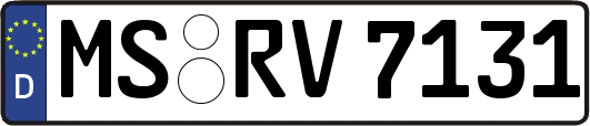 MS-RV7131