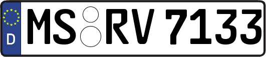 MS-RV7133