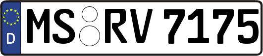 MS-RV7175